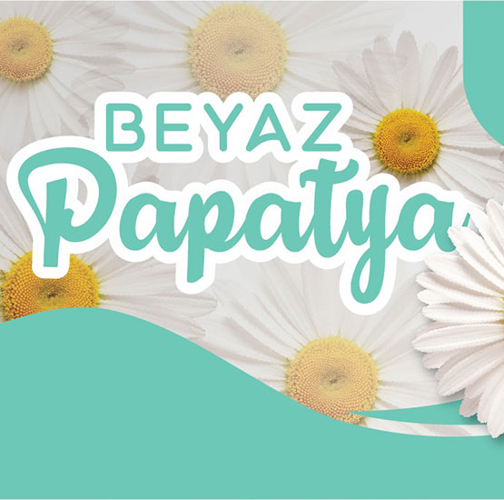 Beyaz Papatya